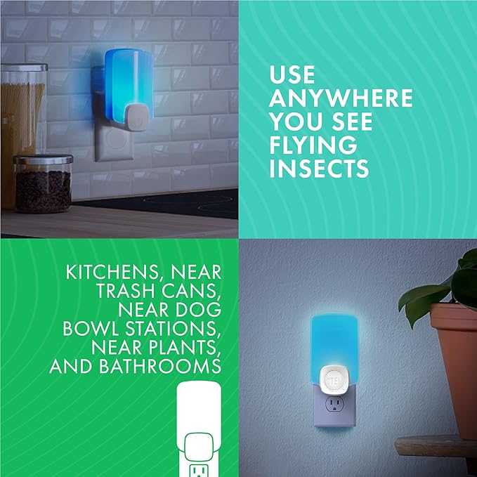 STEM Insect Light Trap Refill Cartridges, Indoor Fruit Fly Trap, Insecticide-Free Pest Control for Home, Attracts and Traps Flying Insects, Official STEM Refills - 4 Count
