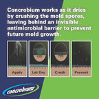 Concrobium Mold Control, 32 oz Spray – Eliminates & Prevents Mold – EPA-Registered, Bleach-Free, Odorless, VOC-Free