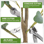 Nuogo 6 Piece Bonsai Tool Set with Roll Bag 8 Inch Heavy Duty Gardening Pruning and Care Kit Concave Knob Wire Cutter Trunk Splitter Jin Pliers Scissors