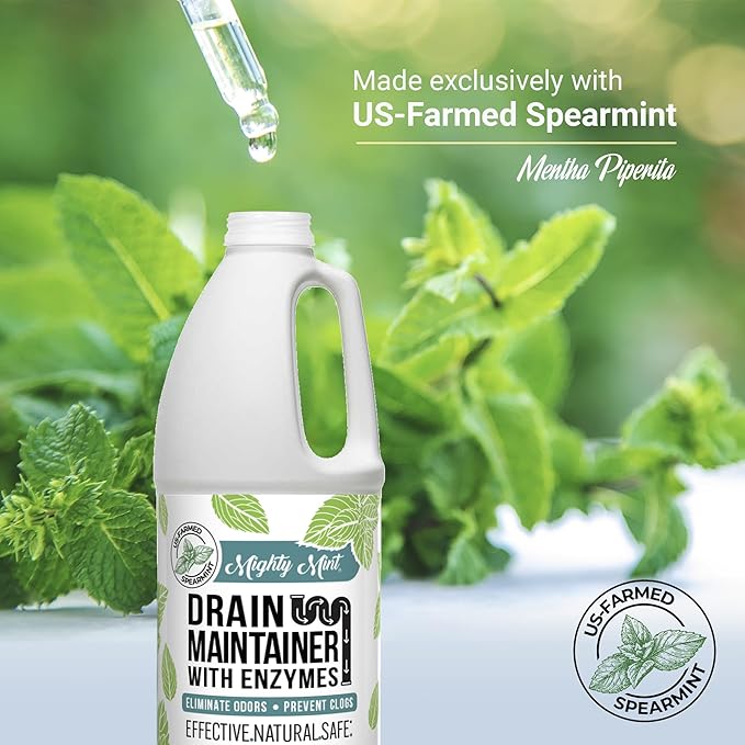 Mighty Mint Drain Maintainer with Enzymes – Drain Cleaner Controls Bad Smells and Prevents Buildup for Drains, Grease Traps, Septic, 32oz