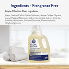 The Clean People Liquid Laundry Detergent - Recyclable Packaging, Stain Fighting - Ultra Concentrated, Laundry Soap - Fragrance Free, 50 fl oz