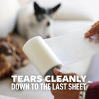 Scotch-Brite Pet Hair Pickup Extra Sticky Lint Roller with Handle, 50% Stickier, Fur and Fluff Remover for Clothes Furniture Couches Car Seats, 4 in x 54.9 ft, 2 Pack, 200 Easy-Tear Sheets