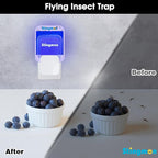 Flying Insect Trap Plug-in Fruit Fly Traps for Indoors Gnat Killer(1 Device + 6 Refills) with UV Light, Fruit Fly & Mosquito Bug Zapper for Home Office Kitchen, Child & Pet Safe, No Odor, Mute Design