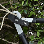 Kapoo Bypass Lopper with Compound Action, Chops Thick Branches with Ease, 30 Inch Tree Trimmer, 1.75" Cutting Capacity Tree Pruner B03 Red, Black