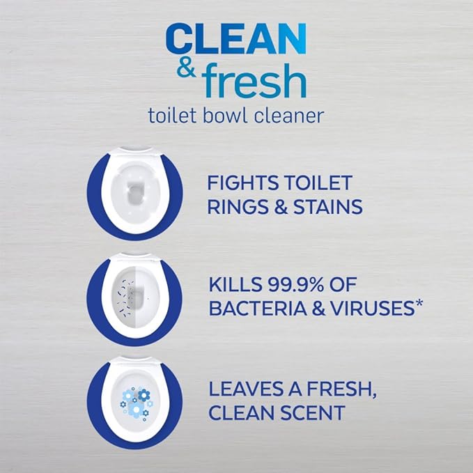 Lysol Toilet Bowl Cleaner Gel, For Cleaning and Disinfecting, Stain Removal, Forest Rain Scent, 24oz (Pack of 4)