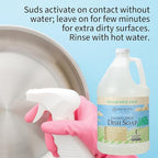 Ginger Lily Farms Botanicals Plant-Based Foaming Spray Dish Soap, Concentrated Formula with Max Grease Cleaning Power, Cruelty-Free, Fragrance-Free, 1 Gallon (Pack of 4)
