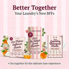 Glory Days In-Wash Scent Booster & Fabric Smell Deodorizer – Citrus Socialite (Bright Citrus Blend) | Chic Laundry Beads for Long-Lasting Fragrance | Plant-Conscious, Plastic-Free, 21 Washes
