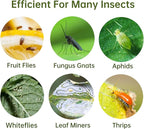 120 Pack Fruit Fly Trap for Indoors, Fungus Gnat Killer Indoor Sticky Traps for Mosquito and Flying Insects, Bug Pest Insect Catcher Killer for Houseplant