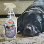 Restore Naturals Enzaway Carpet Spot Cleaner - 22oz - Pet Stain Remover Spray for Carpet - Gentle, Non-Toxic Stain Remover | Cruelty-Free | Made in USA - 2 Pack