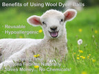 (WB0006-6 Pk Wool Dryer Balls - Premium XL Organic Eco-Friendly Natural Unscented Non-Toxic Felt Laundry Balls, Anti-Static, Chemical Free, Fabric Softener, 100% Natural New Zealand Wool