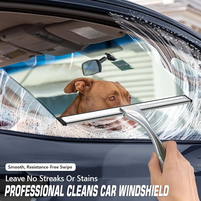 Shower Squeegee for Glass Door with 3 Adhesive Hook, Stainless Steel Glass Cleaning Squeegee for Bathroom & Household Window, Mirrors, Tiles and Car, 10 Inches, Clear, Silver