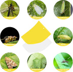 30 Pack Yellow Sticky Traps Fruit Fly Trap, Double-Sided Fungus Gnat Trap Insects Pest Killer for Outdoor Indoor