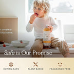 Branch Basics Ultimate Starter Kit: Natural All Purpose Cleaner, Glass, Bathroom, Foaming Hand Wash (4 Plastic Bottles + Concentrate + Oxygen Boost), Laundry Detergent, Plastic-Free Dishwasher Tablets