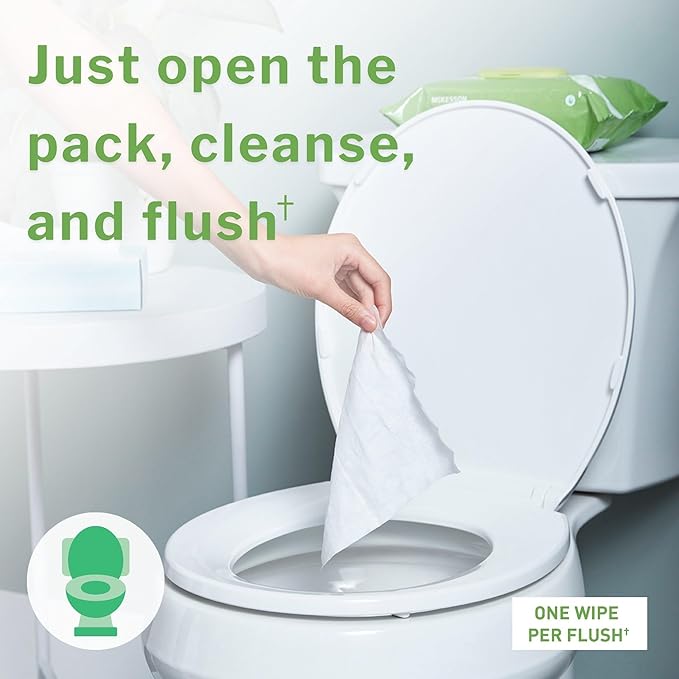 McKesson Flushable* Adult Wet Wipes – 48 Wipes (1 Pack of 48) – Aloe & Vitamin E, Plant-Based Cleansing Wipes, Scented