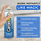 Carpet Aid Spot & Stain Remover, Removes Oil, Grease, Ink, Coffee, Pet Urine & Lipstick from Carpets, Rugs & Upholstery 10 Pk