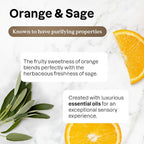 ATTITUDE Dish Soap, EWG Verified, Plant and Mineral-Based Ingredients, Vegan and Cruelty-free Household Products, Orange and Sage, 67.6 Fl Oz