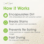 Triple-Action Carpet Cleaner | Cleans, Deodorizes & Brightens | Concentrated, 1 Quart | Low-Foam Multi-Surface Solution for Use on Carpets, Rugs & Upholstery.