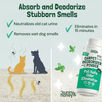 Sunny & Honey Carpet Deodorizer Powder - Pet Safe Freshener for Carpets, Pet Beds and Car Seats - Mint Odor Eliminator for Cat Urine and Wet Dog Smells (20 oz)