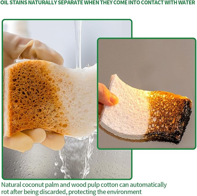 Sponges Kitchen Natural Dish Sponge Plant-Based Biodegradable Compostable Cellulose with Coconut Scrubber Sponge Non Scratch Eco Friendly Kitchen sponges for Kitchen Dishes（Pack of 6）