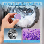 Washing Machine Cleaner Tablets - 24 Pack (12 Month Supply) | HE Compatible for Top & Front Load Washers | Pet-Safe Formula Eliminates Odors, Lint & Detergent Buildup (Lavender scent)