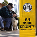 Grandpa Gus's Natural Spider and Insect Control Bundle - Non-Toxic Ant, Roach & Spider Killer Spray (16 oz) with Spider Repellent Pouches (10 Pouches), Safe Home and RV Pest Solution