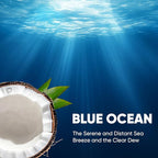 30Ct Aromative Toilet Brush Refills, Toilet Bowl Cleaner Refills, Double-Layer Cleaning Pads Added, Compatible with Most Toilet Brushes，Blue Ocean（Patented）