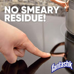 Fantastik All-Purpose Cleaner, with Bleach, 32 Fl Oz