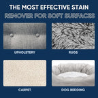 Oxy Pet Carpet Cleaner Spray | Pet Stain Remover for Pet Urine, Cat Pee, Dog Poop | Deep Spot Treating Action on Carpeting, Upholstery, Laundry, Pet Beds & More (32 Fl Oz)