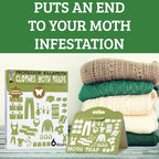 Professor Killamoth Triple Strength Clothes Moth Traps – Safe, Non-Toxic Closet Moth Prevention for Clothes & Wool – Pheromone Traps for House & Wardrobe Protection – 6 Pack