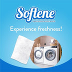 Mountain Fresh Dryer Sheets 120ct