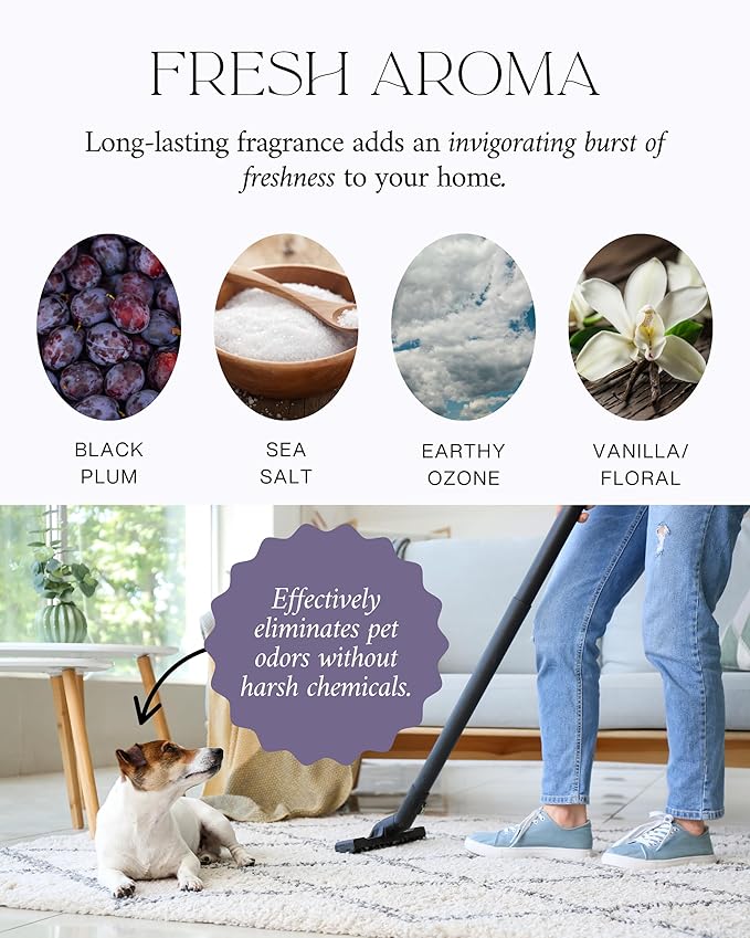 Home "Noir Luxe" Carpet Deodorizer Powder For Home, Upholstery, Pet Urine,Dog Bed/Cat Litter Box– Eliminates Odors Naturally, Pet-Friendly- Black Plum, Sea Salt, and Ozone