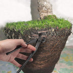 BambooMN 7.5" Root Cutter Tool - 30 Units
