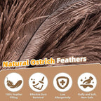 Extendable Ostrich Feather Duster with 19-49 inch Rotatable Stainless Steel Pole, Natural Feather Duster for Ceiling Fan Cobweb Dusting, Reusable Flexible Cleaning Duster(Include 2 Replacement Heads)