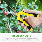 iPower 6.5 Inch Gardening Hand Pruner Pruning Shears Trimming Scissors with Straight Stainless Steel Blades for Bonsai, Herb, Bud, Hedge, 16-Pack, Yellow