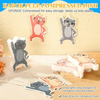 8 Pack Cute Kitchen Sponges Dish Set Compressed Non-Scratch Reusable Kitchen Cleaning Household Sponges for Dishes, Pans, Kitchen, Fruit, Plate, Bathroom(Cat)