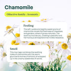ATTITUDE Baby Fabric Softener, Plant and Mineral-Based Ingredients, HE Compatible, Vegan and Cruelty-free Laundry and Household Products, Soothing Chamomile, 40 Loads, 33.8 Fl Oz (Pack of 2)