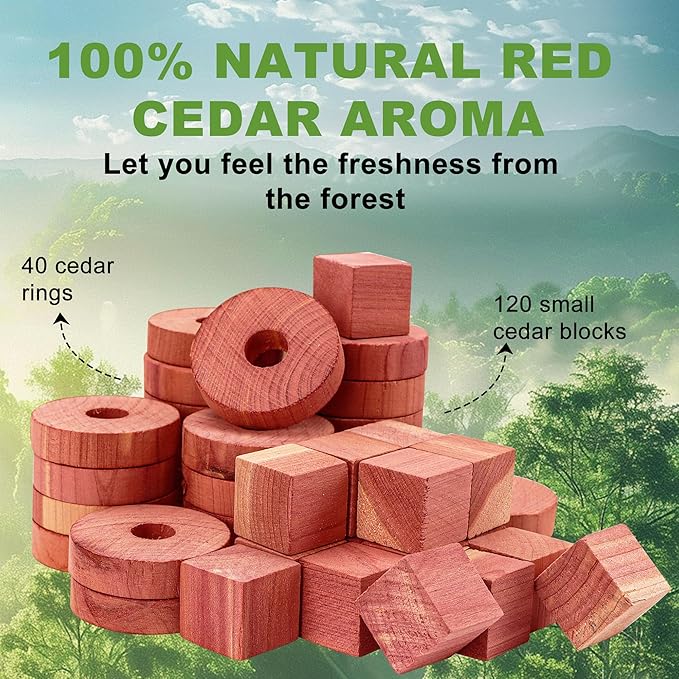 (172pcs) Cedar Block for Closet Drawers, Aromatic CedarRings, Natural Fresh Scent CederWood, CedarClosets Clothes Storage Wardrobes and Drawers Cedar Freshener