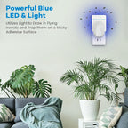 Indoor Fly Trap Plug-in Insect Traps Fruit Fly Traps 2 Devices with 6 Refills for Indoors Gnat Killer for House Flies, Flying Bugs, Moths, Mosquitoes (2 Devices with 6 Refills)