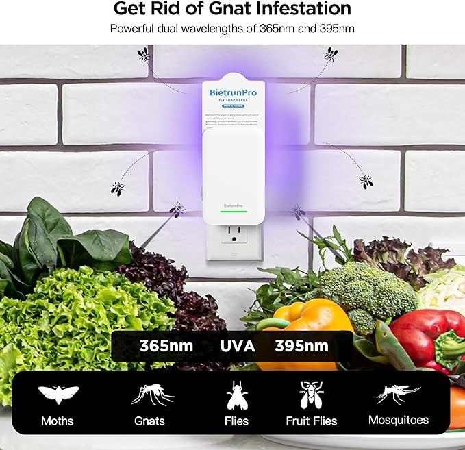 Fly Traps Indoors(2 Device+10 Refills), Gnat Traps for House Indoor, 3-in-1 UV/Blue/Yellow Light Plug-in Flying Insect Catcher Bug Zapper, Fruit Fly Killer, NAT Killer, Get Rid of Gnat Infestation