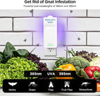 Fly Traps Indoors(2 Device+10 Refills), Gnat Traps for House Indoor, 3-in-1 UV/Blue/Yellow Light Plug-in Flying Insect Catcher Bug Zapper, Fruit Fly Killer, NAT Killer, Get Rid of Gnat Infestation