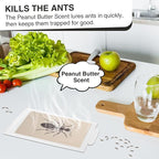 Qualirey Ant Traps Indoor, Upgraded Peanut Butter Scented, Larger 10pcs Ant Spider Cockroach Centipede and Crawling Insect Trap, Pet Safe Insect Traps for Home, Kitchen, Garage