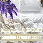 Geode Mattress Cleaner & Deodorizer – Natural Enzyme Formula for Stain & Odor Removal, Sweet Lavender Aroma, Eco-Friendly & Non-Toxic, Safe for All Fabrics – Gallon (128fl oz)