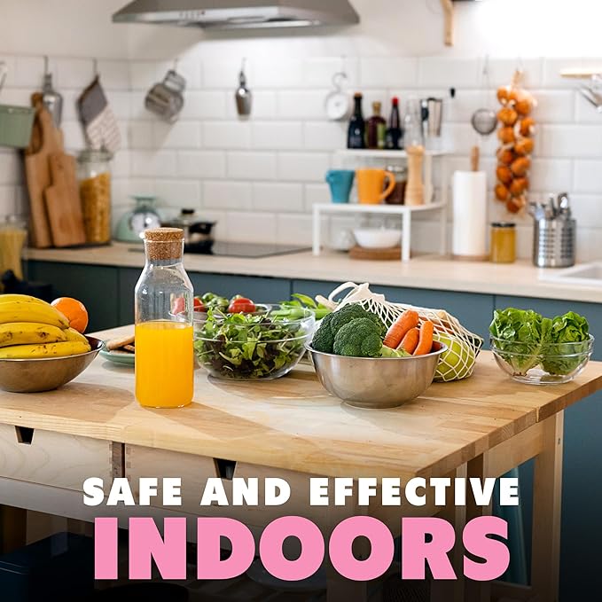 Ant Killer Spray for Indoor Use, Fast-Acting Ant Control, 6 oz (180mL)