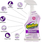 OdoBan Ready-to-Use Disinfectant and Odor Eliminator, Made in the USA, Lavender Scent, Set of 2, 32 oz Spray and 1 Gallon Concentrate