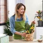 90PCS Yellow Sticky Traps for Indoors/Outdoor Gnat Traps for Plants Fungus Gnats Sticky Traps for Whiteflies Mosquitoes Fruitflies Thrips Aphids... Stake Holders Included Dual-Sided