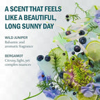Kair Signature Finishing Spray - Wild Juniper & Bergamot | Plant-Based Fabric Refresher & Wrinkle Release, 5 Fl Oz (750 Spritzes), Vegan, Cruelty-Free, Biodegradable, Odor-Neutralizing Fresh Scent