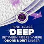 ARM & HAMMER Deep Clean Odor Formula Liquid Laundry Detergent, Radiant Burst Scent, 150 Fl Oz, 100 Loads
