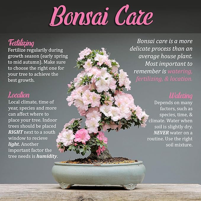 BambooMN 9" Jin Pliers Tool - 10 Pieces