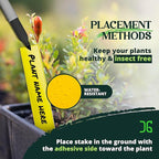 Catchmaster Dual Action Plant Labels 100 PK, Sticky Insect Trap Plant Stakes, for Live Plants Indoor Outdoor, Fruit Fly Trap, Glue Traps for Home, Farm, Garden, Hydroponics & Greenhouse, Pest Control