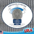 LOLA Steel Wool Wire Mesh Scouring Pad, 2 Pack, Galvanized Steel Knitted, Heavy Duty, Abrasive Scrubber, Powerful for Pots, Pans, Ovens, Grills